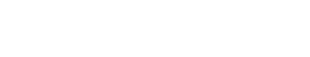 Avior Digital